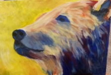 Bear of Colors